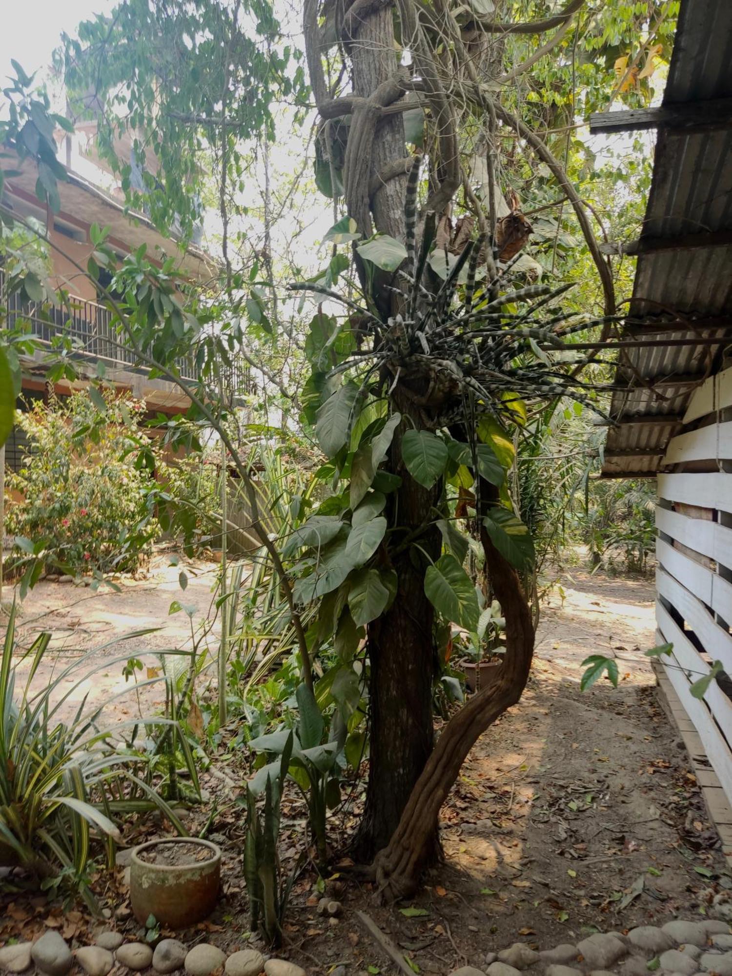 Aya Ni Hotel Pucallpa Luaran gambar